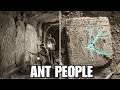 7 000 Year Old Ant People Found In Sumerian And Hopi Traditions On Opposite Sides Of The Earth