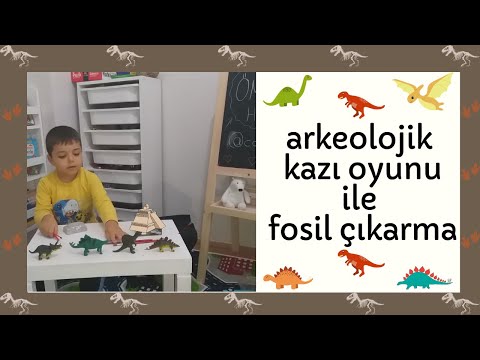 Fossiliengewinnung  / Montessori-Arbeit / Ausgrabungsspiele mit archäologischem Ausgrabungsspiel