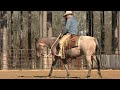 How To Teach A Horse To Rollback Part 1 Preview
