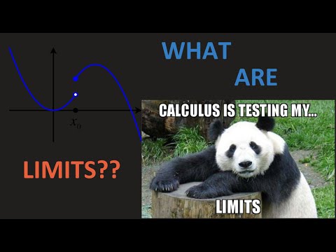 Math 1203-R04 Lecture 5 - Intro to Limits; One-sided limits; Existence of Limits