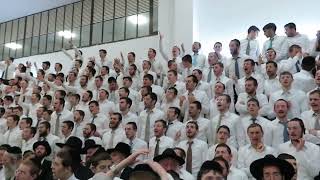 האדרת והאמונה - הקפות שניות בישיבת תפרח