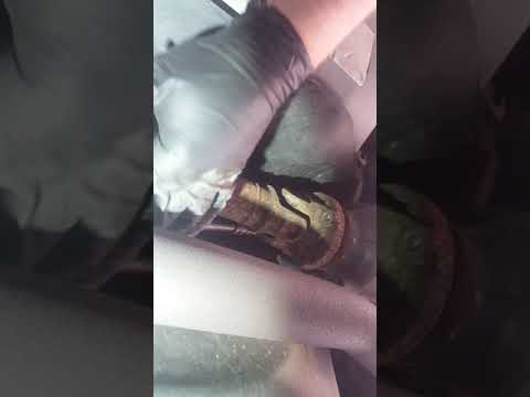 Ford Edge driveshaft replacement