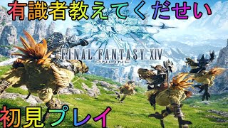 【ff14エオルゼエア　ライブ】続くかわからんff14　１日目