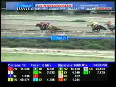 12 CARRERA DOM 26 AGOSTO LA RINCONADA AUDIOHIPSMO