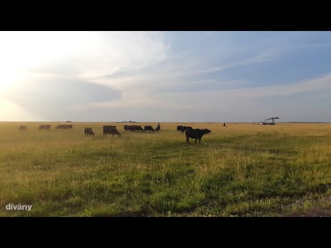 25 Hungary - National Parks in Hungary