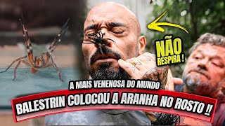 BALESTRIN FEZ O IMPENSÁVEL COM O RICHARD - UMA ARANHA NO SEU ROSTO !