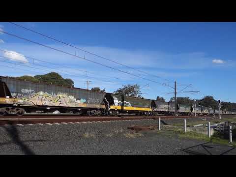 8178 / BL32 / G523 with PN Loaded Grain 3KQ5 - 2/7/20