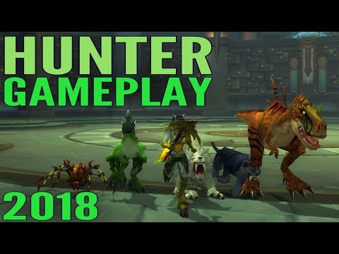 WoW Hunter Gameplay 2018 - Marksman, Survival, & Beast Master (All Specs) - World of Warcraft