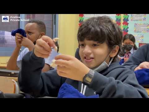 Pristine Private School