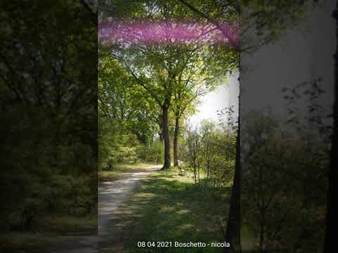 Parco Boschetto-Nichelino