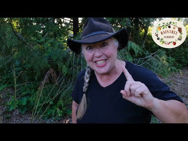 Watch: How to Perform a Scratch Test — Raintree Nursery