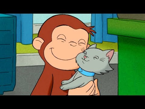 download lagu mp3 mp4 Gato Curioso, download lagu Gato Curioso gratis, unduh video klip Gato Curioso