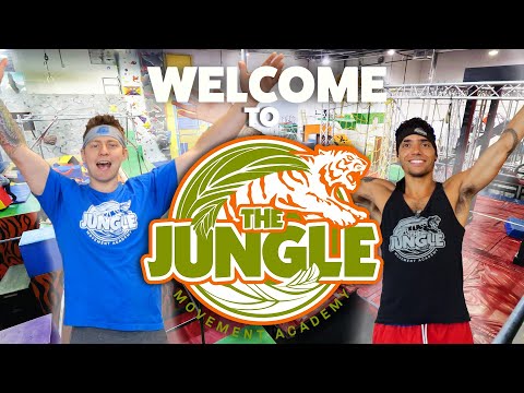 Start Here: Your Guide to the Wild, Wonderful Jungle Movement Academy