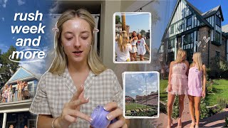 sorority rush, game day, and more college chaos