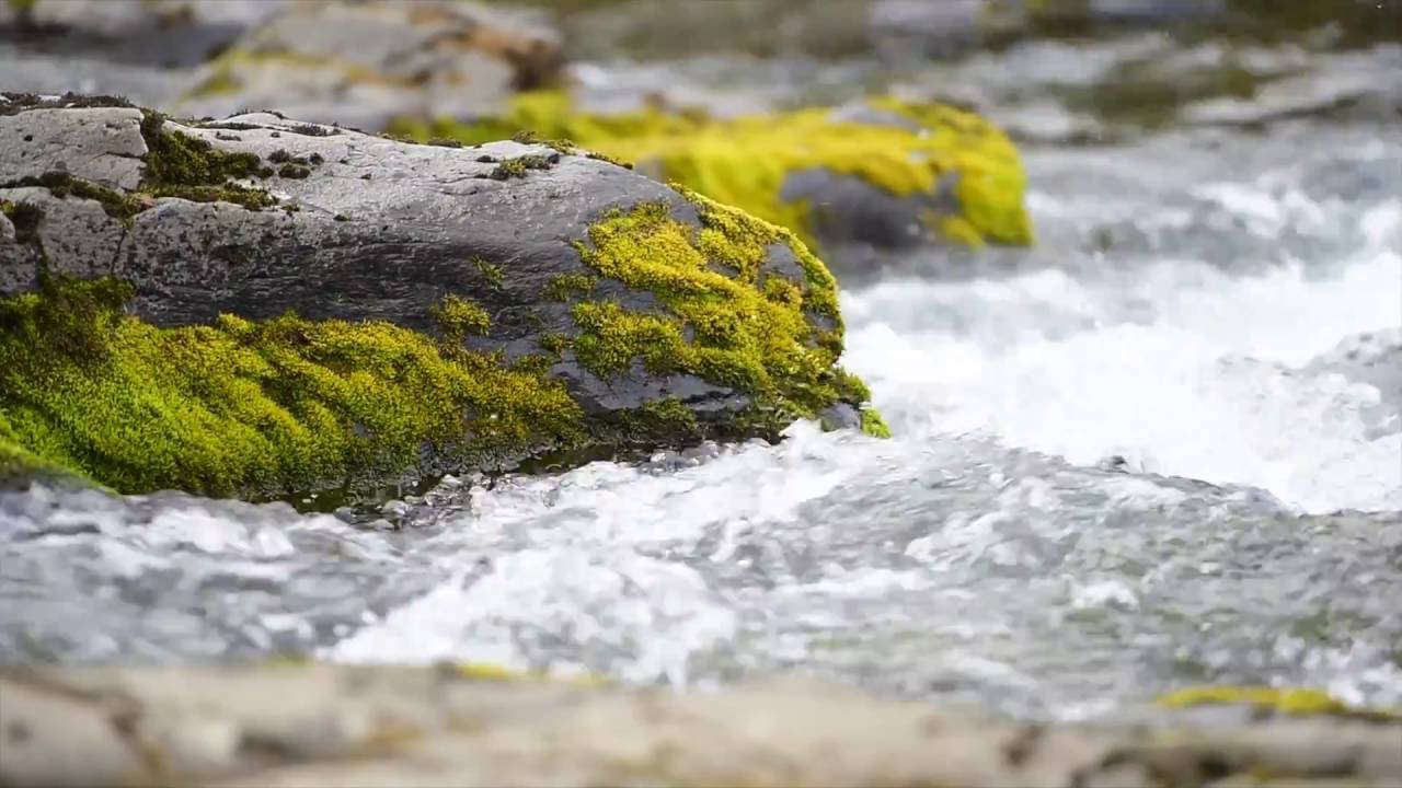 https://www.youtube.com/embed/3Ywp8tLQdNw