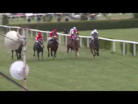 BR, 13. 4. 2019, 1. dostih - CENA LETIŠTĚ BRNO a.s. a BLANENSK7CH ŽIVNOSTNÍKů-Memoriál Jiřího Císaře