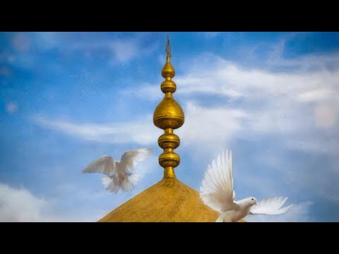 30th Eve After Ashura: Shahadat Eve Bibi Sakina (as) - Abid Bilgrami