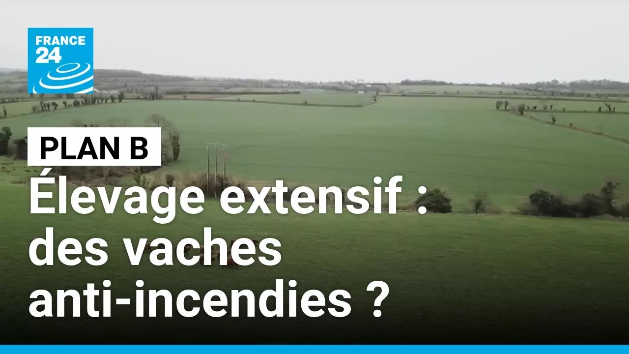 Illustration: Élevage intensif : la Bretagne montre l’alternative paysanne qui sauve la planète