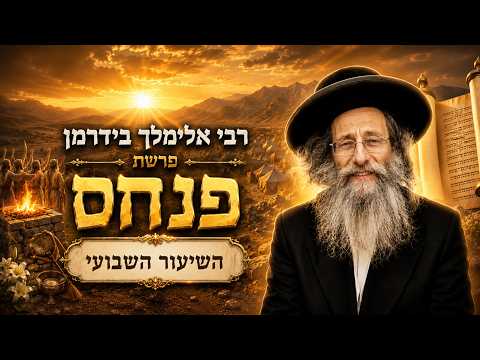 הרב אלימלך בידרמן | פרשת פנחס תשפ"ו (2026) | עלונימייל