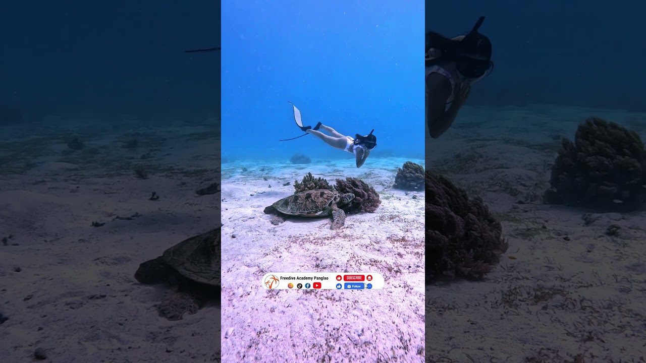 YouTube Short thumbnail