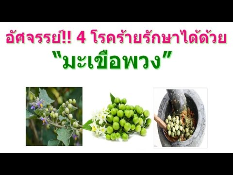 โรคสะเก็ดเงินครีม Lorinden และ โรคสะเก็ดเงินแพทย์ผิวหนัง