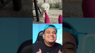 coisas que TODO MUNDO ODEIA