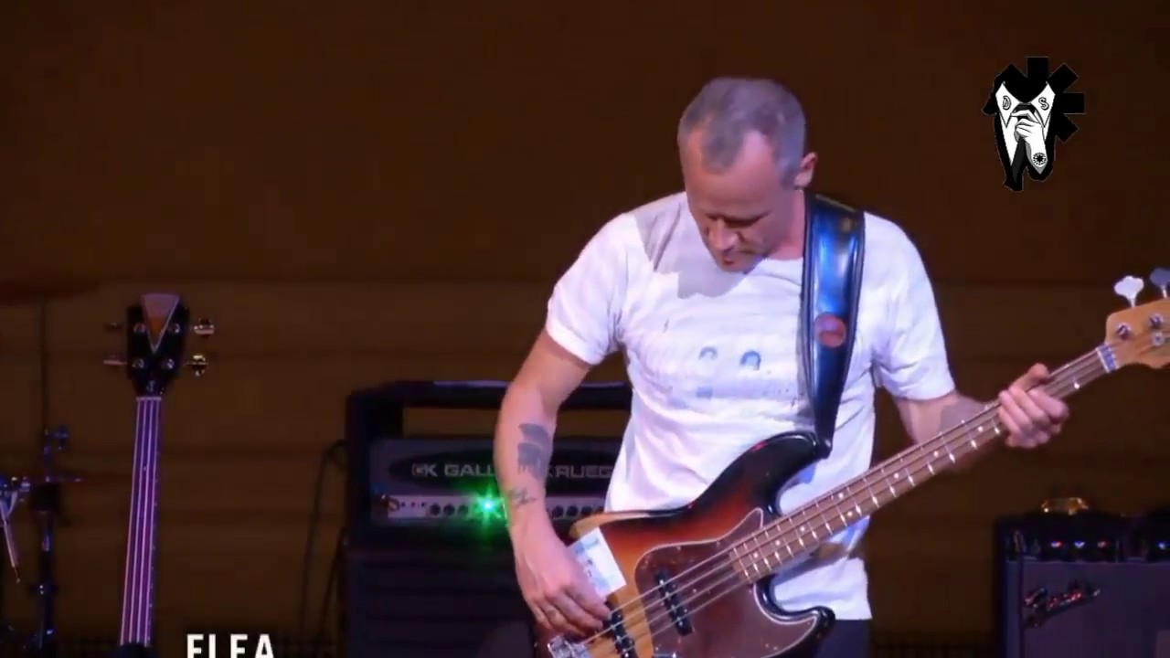 Flea - The Best Solo - YouTube