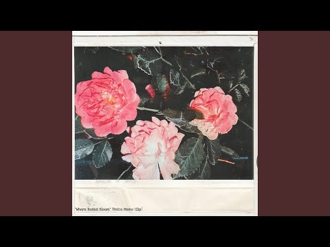Where Roses Bloom (Voice Memo Clip)