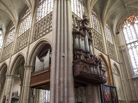 "Als tussen licht en donker" | "Verwacht de komst des Heren" (Willem Ceuleers) - kwartet voor orgel