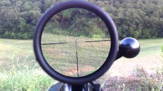 A Caccia con Swarovski - Hunting with Swarovski (Z6 2.5-15x56)