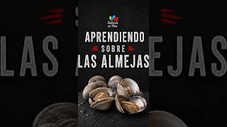 Vídeo del producto