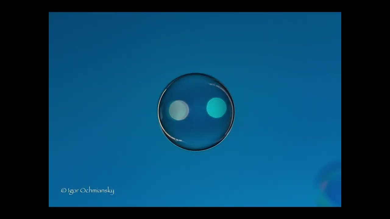 Exposition « les bulles » 4 rue Amélie 75007 Paris du 1er au 9 Mars 2023 vernissage le 1er à 20h