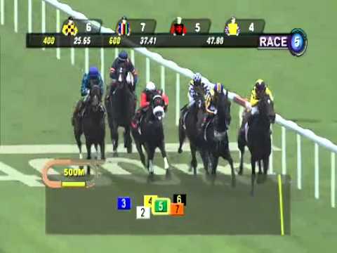 SINGAPORE RACE 01/01/2014 RACE 5 - iAgencyNet.com