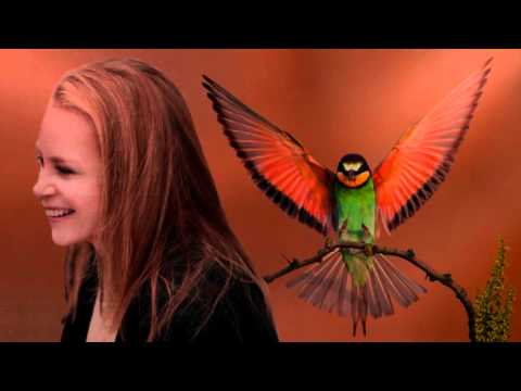 Video thumbnail for I Was a Bird