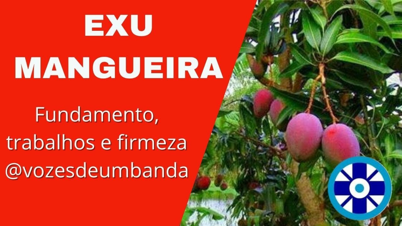 ⭕EXU MANGUEIRA: 🌳🎩O GRANDE CURADOR! SEUS TRABALHOS E FUNDAMENTOS E SUAS FIRMEZAS. @VozesdeUmbanda