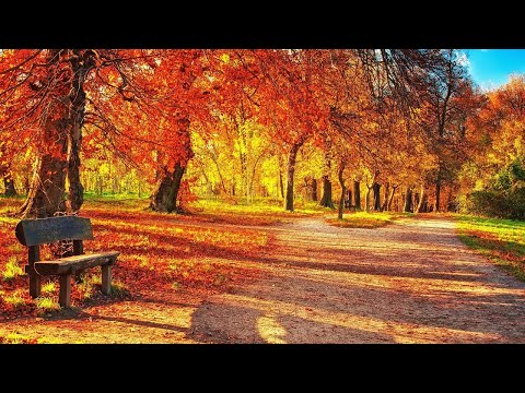 Сборник Песен Восхваления Иеговы №12