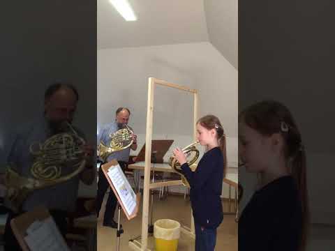 Horn - Virtueller Tag der offenen Tür