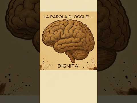 Dignità