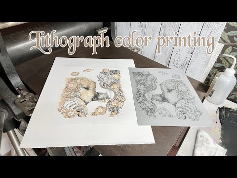 トロチリダエについて詳しく解説