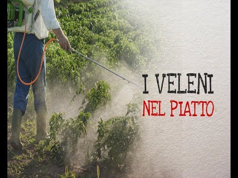 Attenti al Lupo, 27 febbraio 2019 - Rischio pesticidi: frutta e verdura, come ridurre il pericolo