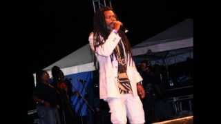 I can't fight this feeling  /  Anthony Selassie