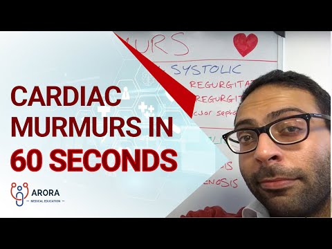 Cardiac murmurs in 60 seconds
