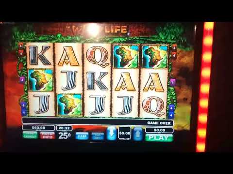 WILD LIFE BONUS!   15 Free Spins on a MAX BET!