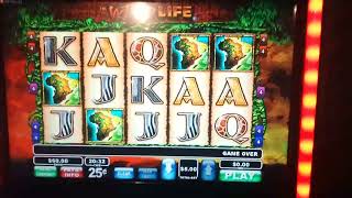 Download lagu WILD LIFE BONUS!   15 Free Spins on a MAX BET! mp3