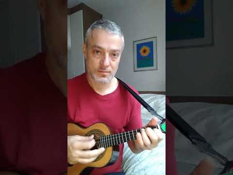 Lição De Malandragem - Arlindo Cruz