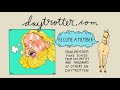 Dream Council - Good Luck - Daytrotter Session