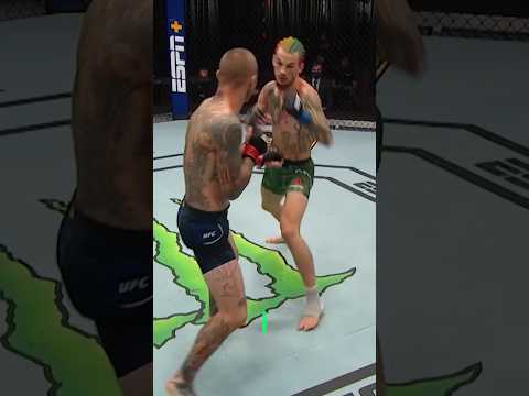 Payton Talbott vs Sean O’Malley: ‘I Think He’ll Stop Him’ #shorts