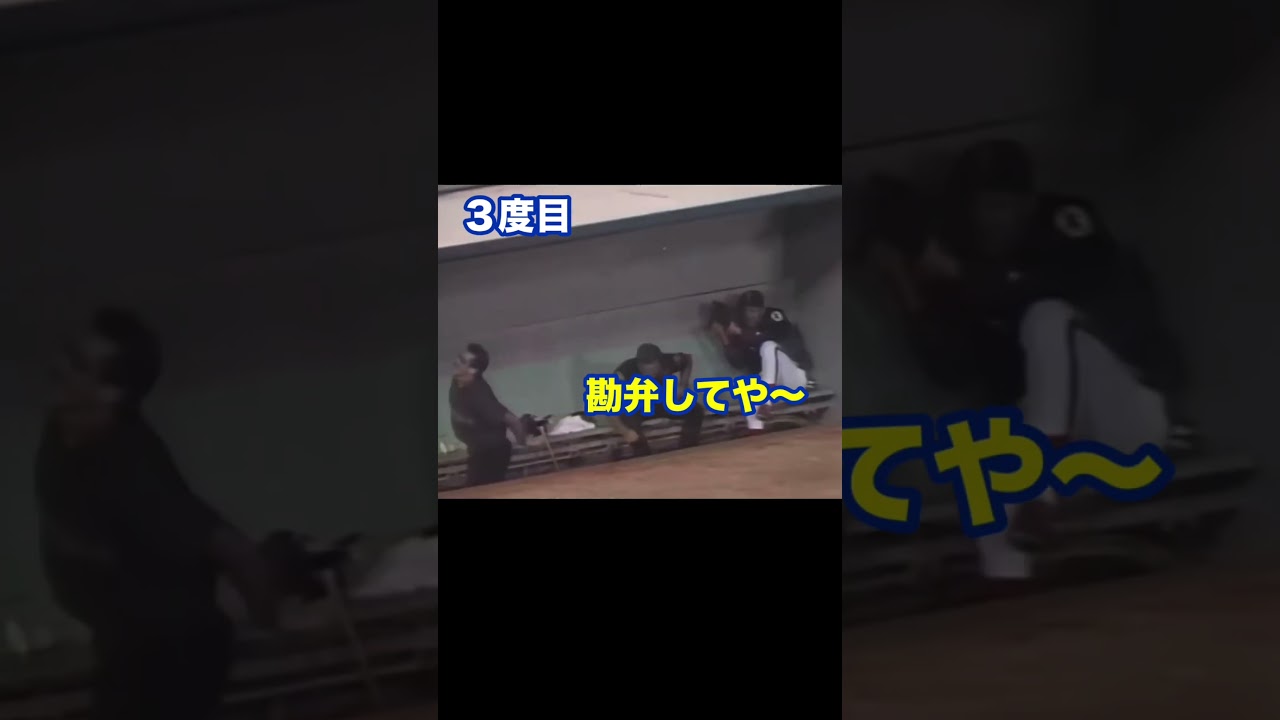 2度あることは何度でも？#野球 #mlb #珍プレー