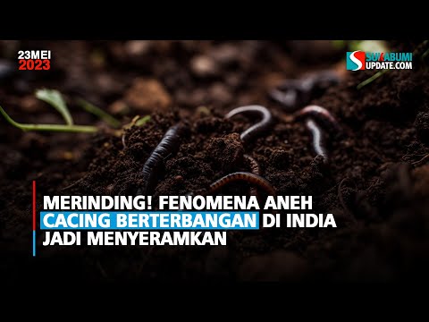 Merinding! Fenomena Aneh Cacing Berterbangan di India Jadi Menyeramkan