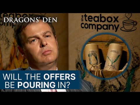 Does This Tea Business Need Longer To Brew? | Dragons' Den